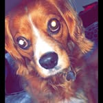Tucker Lee - @tuckerleee - Instagram