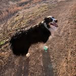 Tucker Lee - @_tucker_lee_ - Instagram