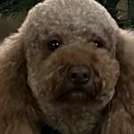 Tucker Lee Hillyer - @iwasborn1early - Instagram