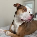 Tucker - @tucker___lee - Instagram