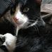Tucker McNish - Facebook