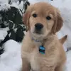 Tucker - @tuckermck - TikTok