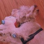 Tucker mitchell - @tucker_mitchell23673 - Instagram