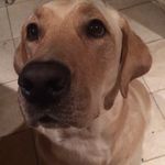 Tucker Mitchell - @tucker_mitchell_ - Instagram