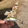Tucker Mitchell - @tucker.mitchell8 - TikTok