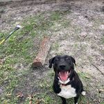 🐾Tucker Mitchell🐾 - @tucker._.mitchell - Instagram