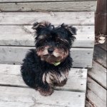 Tucker_Mitchell - @tucker_charile_mitchell - Instagram