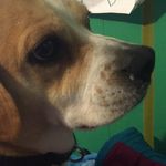 Tucker Mitchell - @tuck_meatball - Instagram
