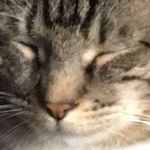 Tucker Mitchell - @tucktuck_theduck - Instagram