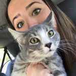 Tucker Phillips - @tuckthetabby - Instagram