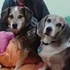 tuckerphillips - @tucker.phillips85 - TikTok