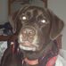 Tucker Russo - Facebook