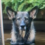 @tucker_shields22 - Instagram