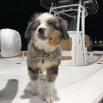 Tucker Shields - @shields.tucker - Instagram