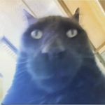 Tucker Veach - @_tuckster_ - Instagram