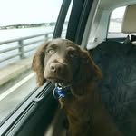 Tucker Wells - @tuckerbuck - Instagram