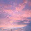 Tucker wells - @him.himithy.jr - TikTok