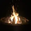Tucker Wheaton - @tucker.wheaton4 - TikTok