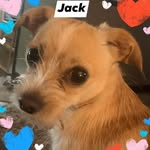 Tuesday Jackson Marsh - @2sday47 - Instagram