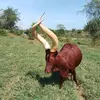 Tugume Wilson - @tugumewilson458 - TikTok