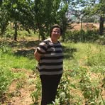 Tulay Erdem - Facebook