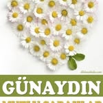 tülay erdem - @tulayerdem76 - Instagram