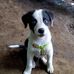 Tulio Lopez - Facebook
