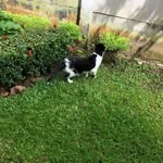 Santos Tulio Rivera Lainez - @triveralainez - Instagram