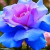 tunde balogun - @tunde.balogun - TikTok