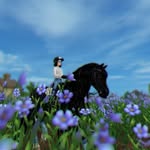 ratti - @sso.tundrawalker - Instagram