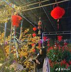 Kim TuNg Cai - Facebook
