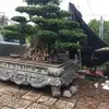 Nguyễn Văn Tùng - @tung_cai_xay - TikTok