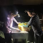 Tung Cai - @cailieutung - Instagram