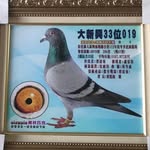 蔡震東 - @tungcai.zhendong - Instagram