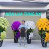 HOA LỤA TÙNG HÀ - THANH HOÁ - @hoaluatungha - TikTok