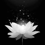 Nguyễn AnhTùng - @tunghan2303 - Instagram