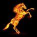 Tung Ha - Facebook