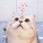 Tùng văn - @tungvan89 - Instagram