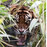 Tung Van Tiep - @tungvantiep - Instagram