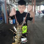 ️ - @tungvan66 - Instagram