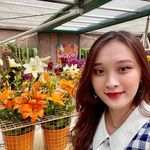 Tuoi Le - @tuoile99 - Instagram
