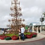 Tuong Ha - @tuongha0505 - Instagram