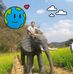 Tương Hà - Facebook