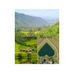 Tuong Ha - Facebook