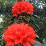 Tuong Ha - @tuong3168 - Instagram