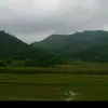 Tuong Ha - @tuong.ha00 - TikTok