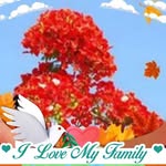 Tuong Ha - @tuong5844 - Instagram