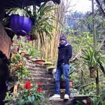 Tường Hà Hoàng - @tuonghahoang - Instagram