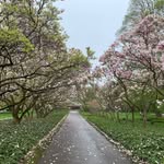 Tuong Phan - @uwaterloo_bot - Instagram