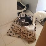 Joshua Robert Turner Collins - @josh_rtc - Instagram